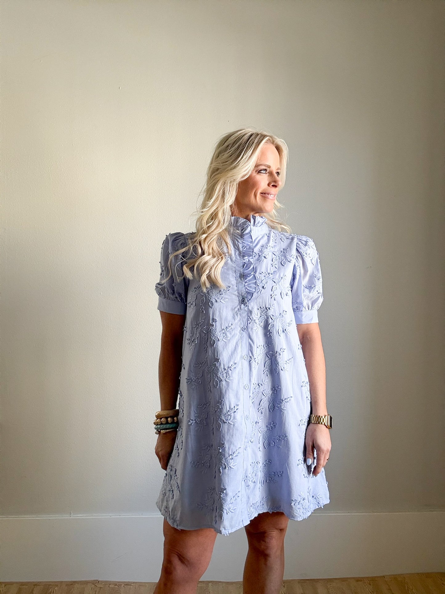 Periwinkle Embroidered Dress