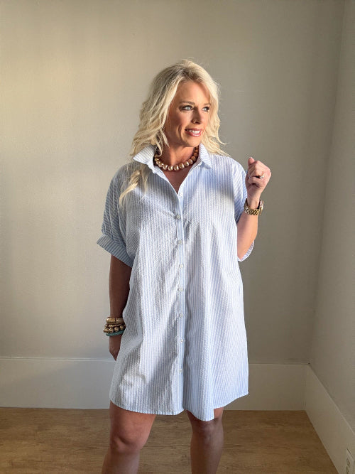 Blue/White Striped Button-Up Shirt Mini Dress